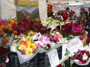 Flowers at the Ballard Farmers Market.