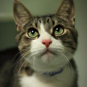 Better to Have Loved and&nbsp;Lost